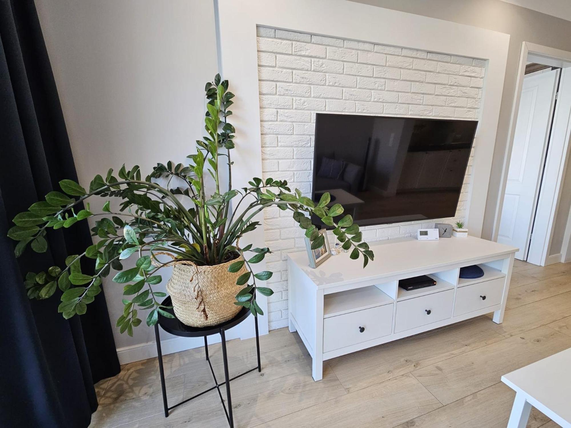Apartament Capri ミエンジズドロイェ エクステリア 写真